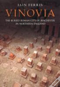 Capa do artigo Vinovia