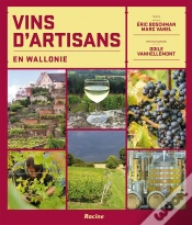 Capa do artigo Vins D