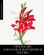 Vintage Art - Preview