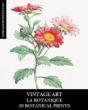 Vintage Art - Preview