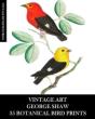 Vintage Art - Preview