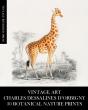Vintage Art - Preview