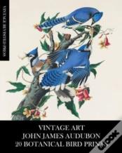 Vintage Art