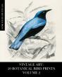 Vintage Art - Preview
