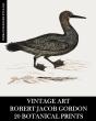 Vintage Art: Robert Jacob Gordon: 20 Bot - Preview