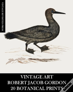 Capa do artigo Vintage Art: Robert Jacob Gordon: 20 Bot