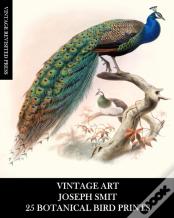 Vintage Art