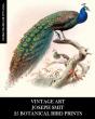 Vintage Art - Preview