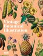 Vintage Botanical Illustration - Preview
