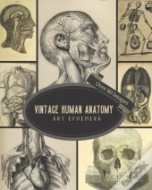 Vintage Human Anatomy Art Ephemera