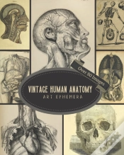 Capa do artigo Vintage Human Anatomy Art Ephemera