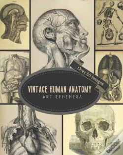 Capa do artigo Vintage Human Anatomy Art Ephemera