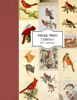 Capa do artigo Vintage Prints