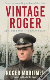 Capa do artigo Vintage Roger