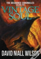 Capa do artigo Vintage Soul