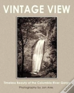 Capa do artigo Vintage View