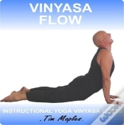 Capa do artigo Vinyasa Flow