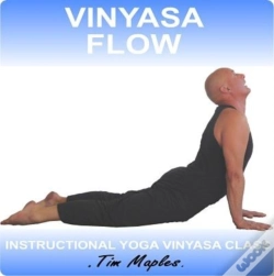 Capa do artigo Vinyasa Flow