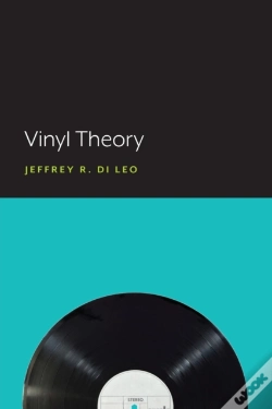 Capa do artigo Vinyl Theory