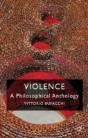 Violence: A Philosophical Anthology - Preview