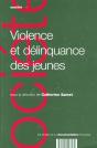 Violence Et Delinquance Des Jeunes - Preview