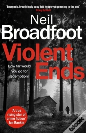 Capa do artigo Violent Ends