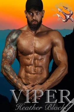 Capa do artigo Viper