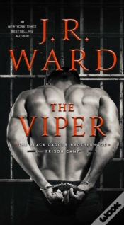 Capa do artigo Viper