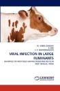 Viral Infection In Large Ruminants - Preview