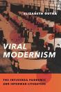 Viral Modernism - Preview