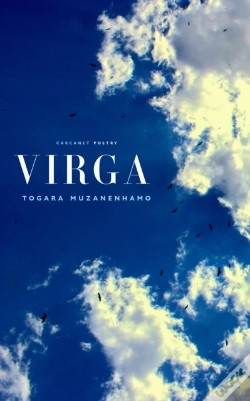 Capa do artigo Virga