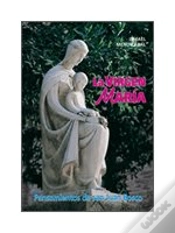 Capa do artigo Virgen Maria. Pensamientos De San Juan Bosco 