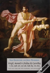 Capa do artigo Virgil, Aeneid 11 (Pallas & Camilla), 1224, 498521, 53296, 64889, 725835
