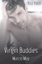 Virgin Buddies - Preview