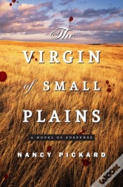 Capa do artigo Virgin Of Small Plains