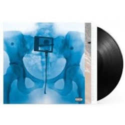 Capa do artigo Virgin - Vinil