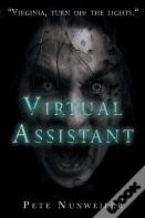 Virtual Assistant