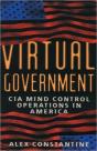 Virtual Government - Preview