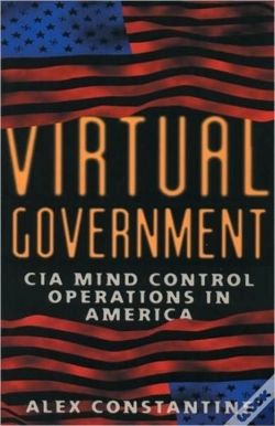 Capa do artigo Virtual Government