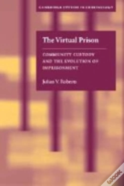 Capa do artigo Virtual Prison