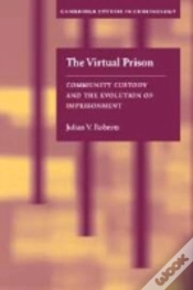 Capa do artigo Virtual Prison