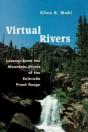 Virtual Rivers - Preview