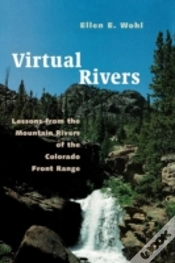 Capa do artigo Virtual Rivers