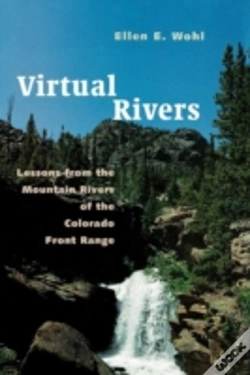 Capa do artigo Virtual Rivers