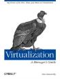 Virtualization - A Managers Guide - Preview