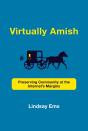 Virtually Amish - Preview