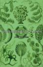 Virus Diseases Of Plants - Preview