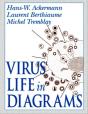 Virus Life In Diagrams - Preview