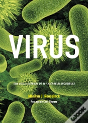Capa do artigo Virus