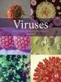 Viruses - Preview